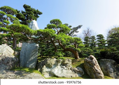 Chinese Garden Plant