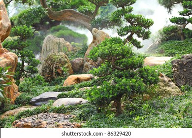 Chinese Garden Plants