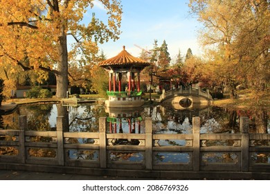 Chinese Gardens, Zurich, In Autumn