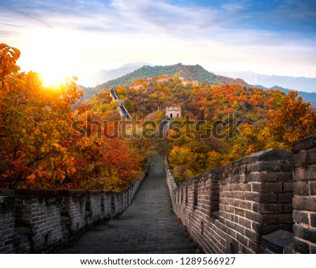 Chinese Great wall in Autumn and sunset, mountain and landmark very famous for travel near Beijing city, wall big one on the world, China, Asia