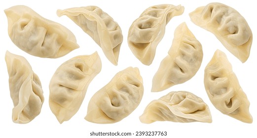 Chinese Gyoza dumplings Isolated on white background