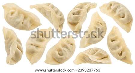 Chinese Gyoza dumplings Isolated on white background