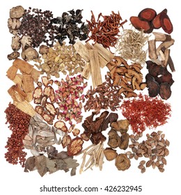 Chinese Herb Ingredients Used In Traditional Herbal Medicine Over White Background.