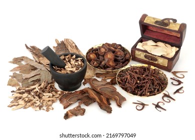 Chinese holistic health care for herbal plant medicine with herbs and spice used in traditional natural preventative healing remedies. Alternative healthcare concept. On white.