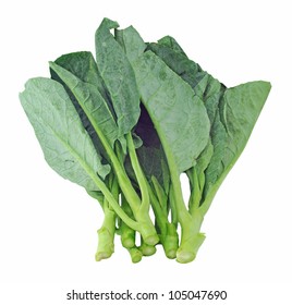 Chinese Kale Vegetable