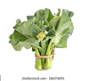 Chinese Kale Vegetable 