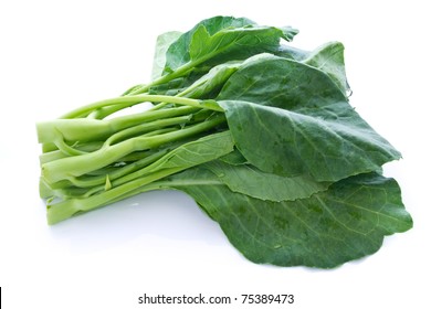 Chinese Kale Vegetable