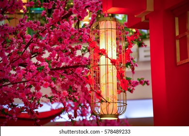 Chinese Lantern On Peach Blossom Tree