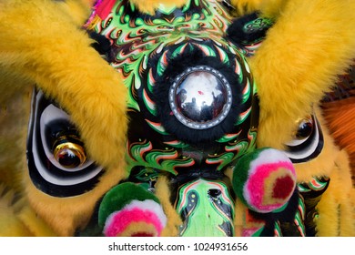 Chinese Lion Dance Costume Close Up