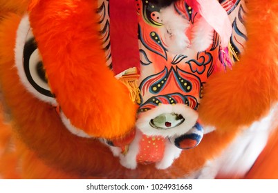 Chinese Lion Dance Costume Close Up