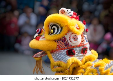 Chinese Lion Dance Costume Close Up With People In Background