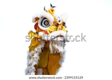 Chinese lion show on top high bamboo in the Chinese New Year festival isolated on white background.Chinese lion costume used during Chinese New Year celebration in China town.