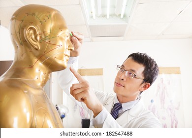 Chinese Medicine Doctor Point  Acupoint On Human Model