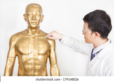 Chinese Medicine Doctor Teaches Acupoint On Human Model