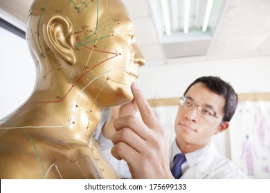 Chinese Medicine Doctor Teaching  Acupoint On Human Model