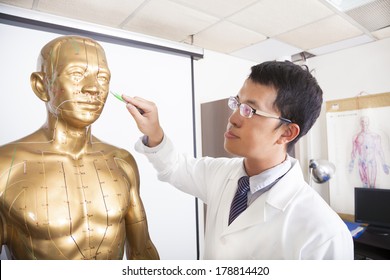 Chinese Medicine Doctor Teaching  Acupoint On Human Model