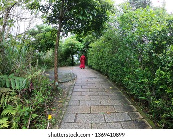 Chinese Monk Walking Away In Peace Nature Place Green Leave, Wear Red Form 