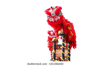 Chinese New Year Lion Dance Celebration Over White Background