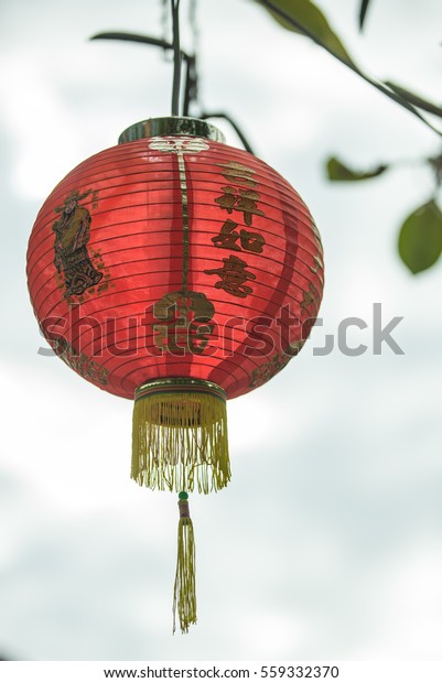 Chinese Paper Lanterns Chinese New Year Stock Photo (Edit Now) 559332370