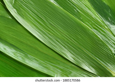 Chinese Rice Pudding Cast Leaves