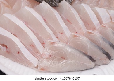 Chinese Sturgeon, Acipenser Sinensis SASHIMI