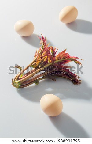 Chinese toon leaves and fresh eggs before Grain Rain are placed against a white background