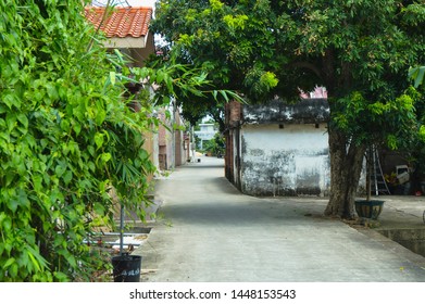 Chinese Village Street With Trees