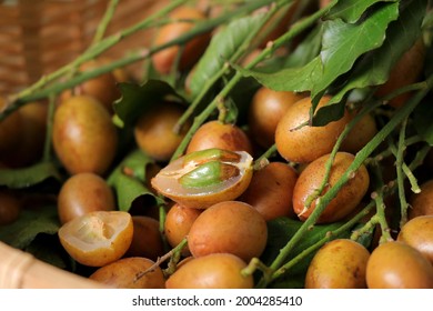 Chinese Wampee Fruit Clipping Path Bamboo Stock Photo 2004285410 ...