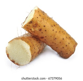 Chinese Yam