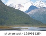 Chinitna Bay Alaska with Brown Bear