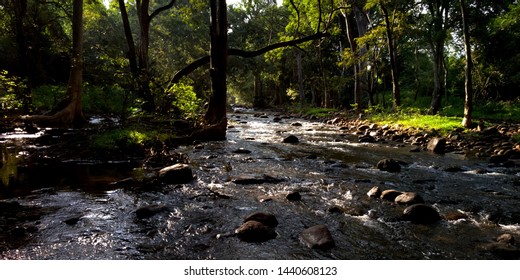 The Chinnar Wildlife Sanctuary, Munnar, Kerala