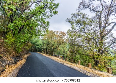 Chinnar Wildlife Sanctuary Road