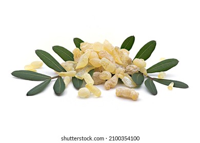 Chios mastic tears with lentisk (Pistacia lentiscus) leaves on a white background