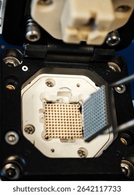 Chip test socket and circuit board