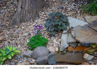 Chipmunk Climbs Up Rocks Of A Backyard Water Feature.