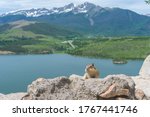 A chipmunk with full cheeks overlooking lake and the Colorado Rocky Mountains