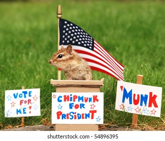 Chipmunk Running For President