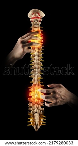 Chiropractic, concept. Professional chiropractor treating spine of patient with back pain using manual therapy. Backbone health