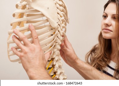 Chiropractor explains Patient using plastic model - Powered by Shutterstock