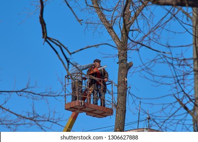 Chisinau, MOLDOVA - 24 January, 2019: Worker In Bucket With A Chainsaw Trims Trees. Worker Using Chainsaw From Hydraulic Mobile Platform For Dead Wooding Tree Trimming.