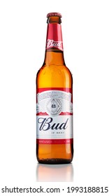 CHISINAU, MOLDOVA - December 9, 2017: Bottle Of Budweiser Beer On White Background With Reflection, An American Lager First Introduced In 1876.