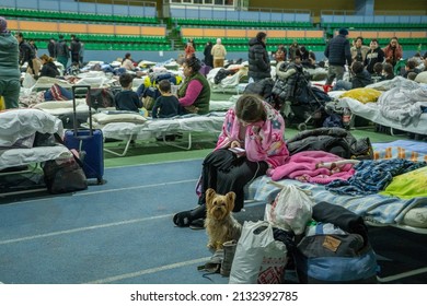 chisinau, moldova - march 4 2022: ukrainian refugee girl looking in smartphone with dog next to her at the chisinau arena refugee center