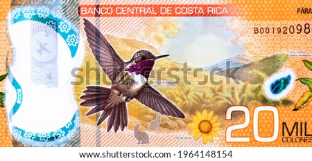 Chispita hummingbird, Portrait from Costa Rica 20,000 Colones 2018-2020 Polimer Banknotes. Stock fotó © 