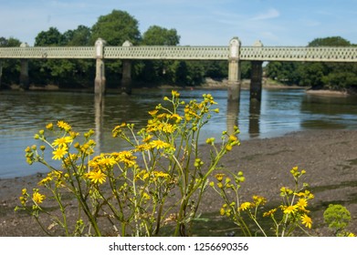 Chiswick River, Kew Bridge, Kew Railway Bridge, West London