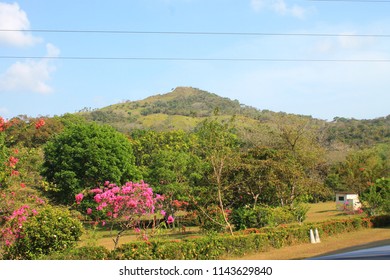 Chitre Panama Paisaje