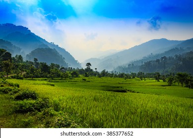 Chitwan in Nepal - Shutterstock ID 385377652