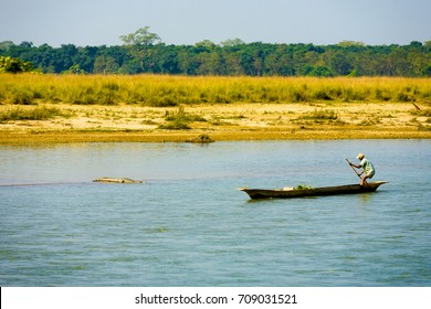 Chitwan, Nepal - December 6, 2007: A local man in boat steering clear of river crocodile in rural Nepal