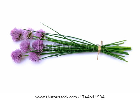 Chives Flowers bouquet isolated on white background.