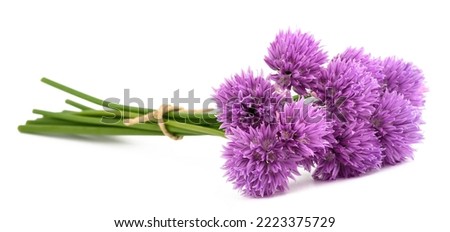 Chives flowers bunch tied isolated on white background