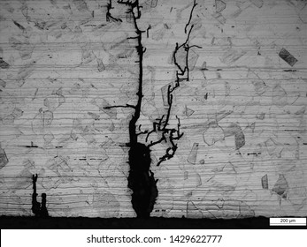 Chloride Stress corrosion cracking in 316L stainless steel pipe, electrolytically etched with oxalic acid